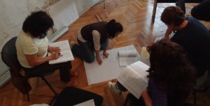 curs de-a arhitectura la sibiu (14)