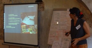 curs de-a arhitectura la sibiu (8)